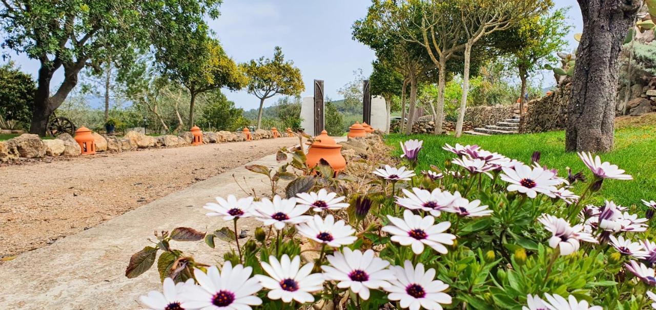 Agroturismo Can Marquet - Adults Only Santa Gertrudis  Dış mekan fotoğraf