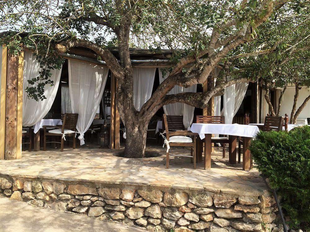 Agroturismo Can Marquet - Adults Only Santa Gertrudis  Dış mekan fotoğraf